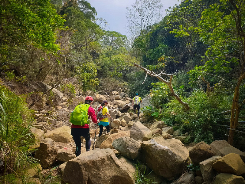 5cd13808a1c88.jpg 5cd13808a1c88.jpg