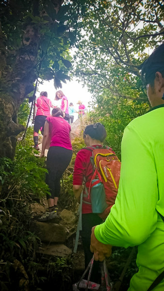 5cd146288c055.jpg 5cd146288c055.jpg