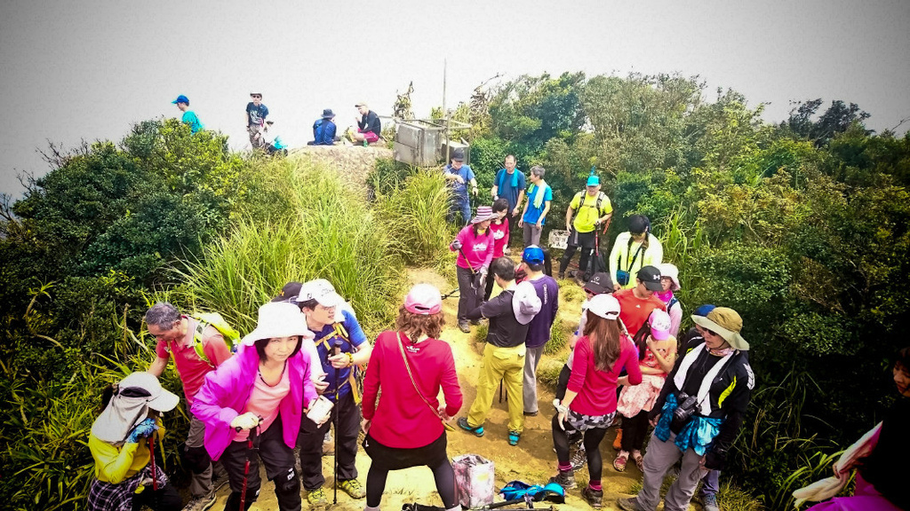 5cd1464771d84.jpg 5cd1464771d84.jpg