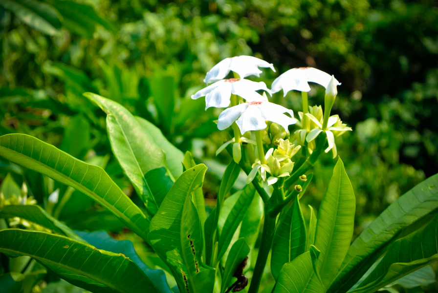 5caed8e9b7195.jpg 5caed8e9b7195.jpg