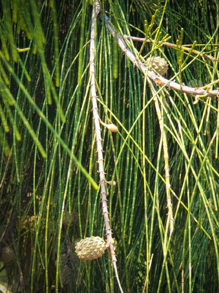 5caed9f15d0d4.jpg 5caed9f15d0d4.jpg