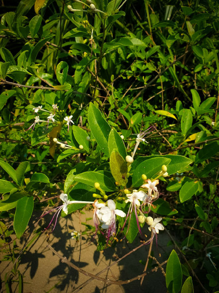 5caed9e449bfe.jpg 5caed9e449bfe.jpg