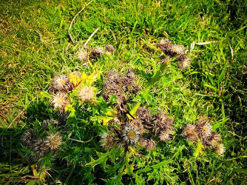 5caed9bb9d81f.jpg 5caed9bb9d81f.jpg