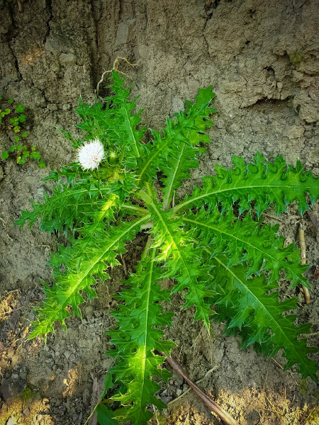 5caed9831e751.jpg 5caed9831e751.jpg