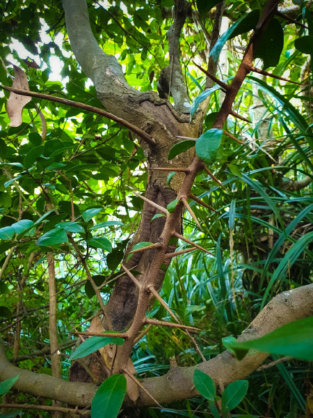 5caed9904d2ae.jpg 5caed9904d2ae.jpg