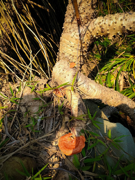 5caed97945176.jpg 5caed97945176.jpg