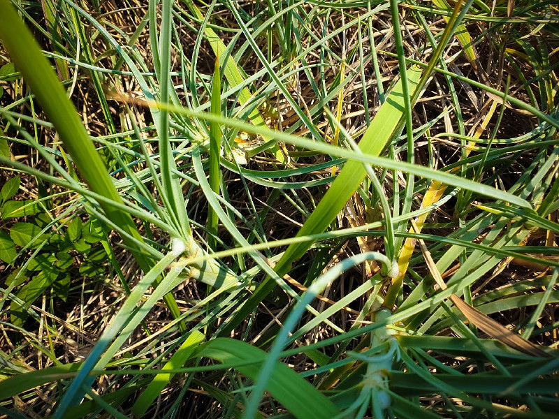 5caeda11408e0.jpg 5caeda11408e0.jpg