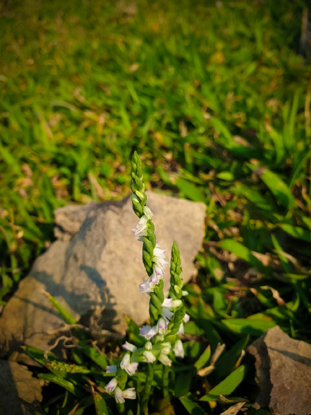 5caedccd9f55a.jpg 5caedccd9f55a.jpg