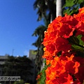 2010-08-10-彰師的天空-D5.jpg