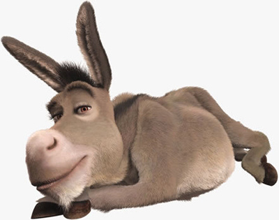 donkey.jpg