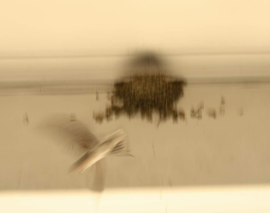 08.JPG 08.JPG