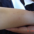 DSC04995.JPG