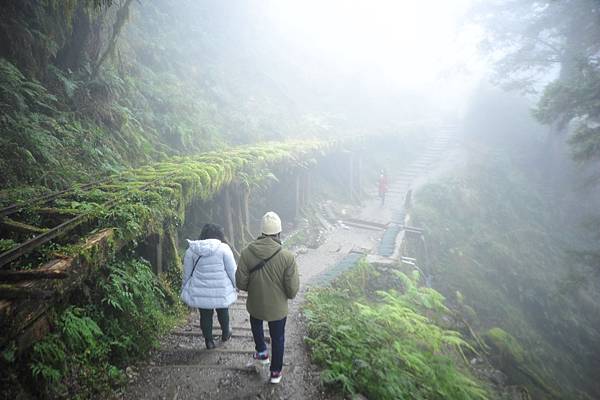 LINE_ALBUM_2022-01-09 太平山碰碰車 翠峰_221213_0.jpg