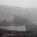 DSC01231