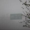 DSC01230