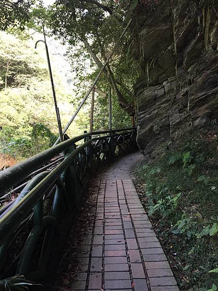 121991548_3473222939424157_4528803047991670869_n_3473222936090824