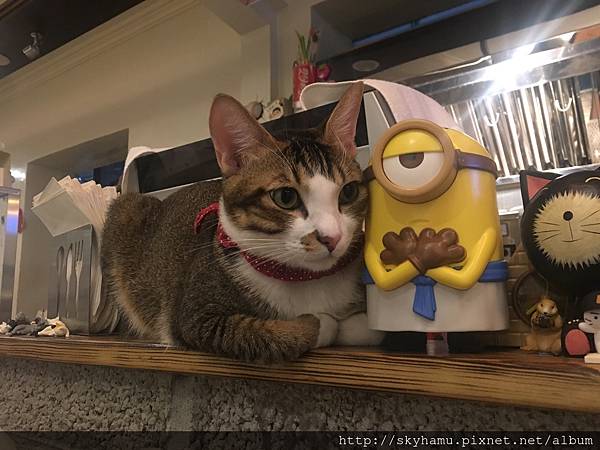 IMG_8835.JPG IMG_8835.JPG