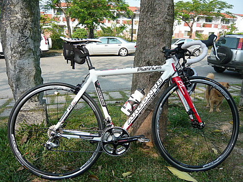 08 ARGON 18 Platinum S3