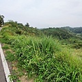 3.緩坡.jpg