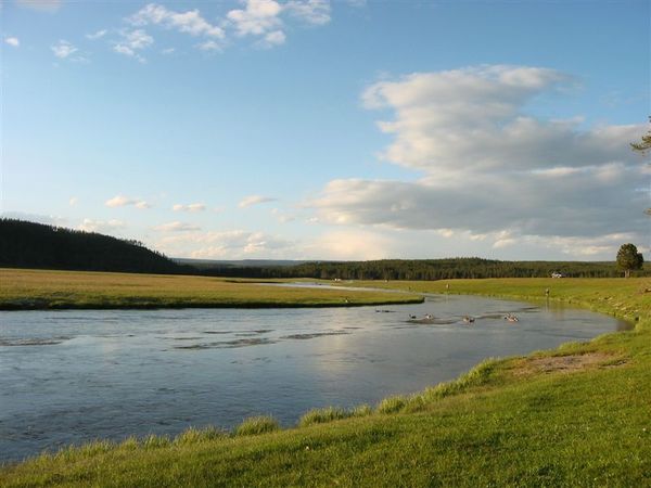 Yellowstone 044.jpg