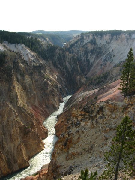 Yellowstone-Canyon 018.jpg