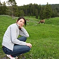 Yellowstone-Canyon 061.jpg