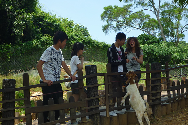 100721 去動物園給動物看 (22).JPG