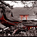 miyajima_shrine_by_jyoujo