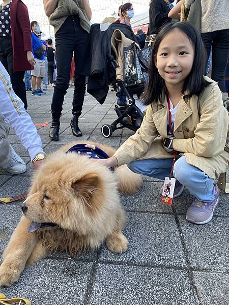 IMG-2788.jpg IMG-2788.jpg