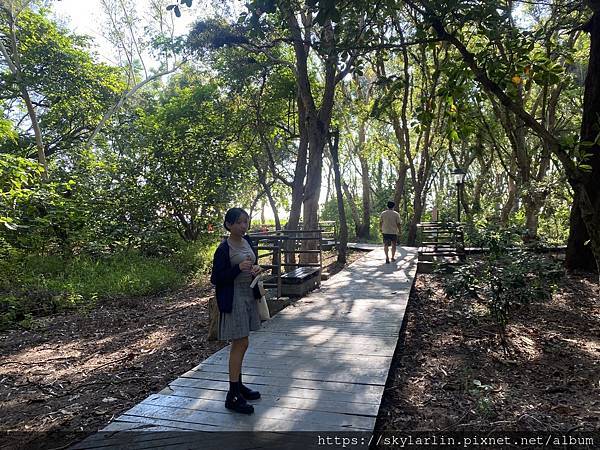 【漁光島】 【漁光島】