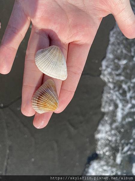 【漁光島】 【漁光島】