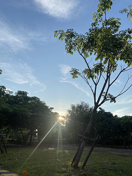 【漁光島】 【漁光島】