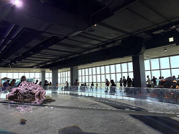 【台中海洋生物館】 【台中海洋生物館】