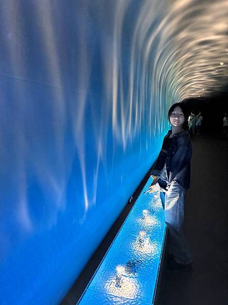 【台中海洋生物館】 【台中海洋生物館】