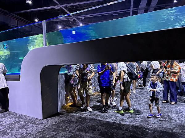 【台中海洋生物館】 【台中海洋生物館】