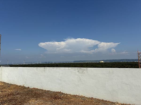 【台中海洋生物館】開箱文進行中 【台中海洋生物館】開箱文進行中