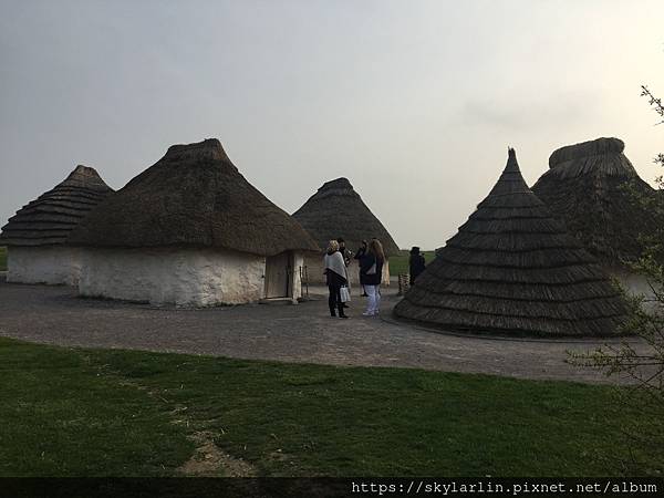 (未設定標題) (未設定標題)