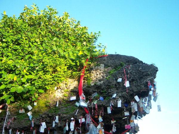 skylit080823_ 034.jpg