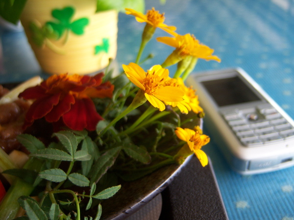 中大&青松081219_ 055.jpg