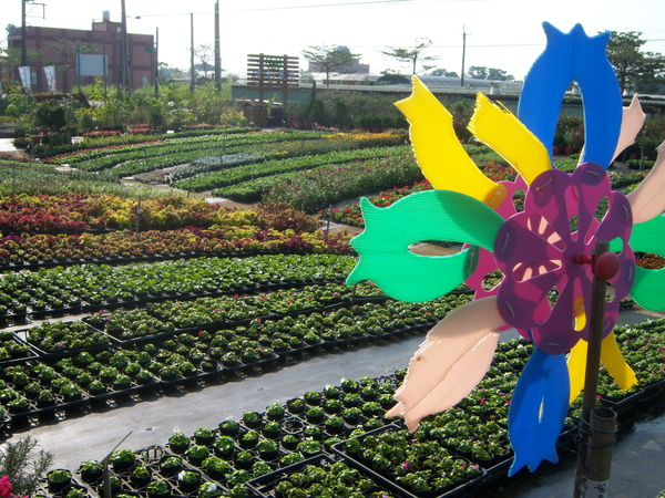 中大&青松081219_ 070.jpg