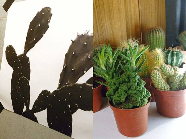 17-06-01-11-24-43-742_deco