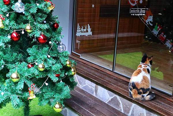 紅點熟成肉餐廳