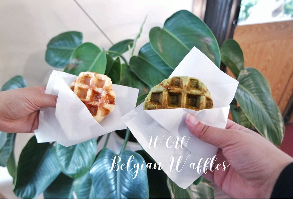 IMG_20180305_032635-01