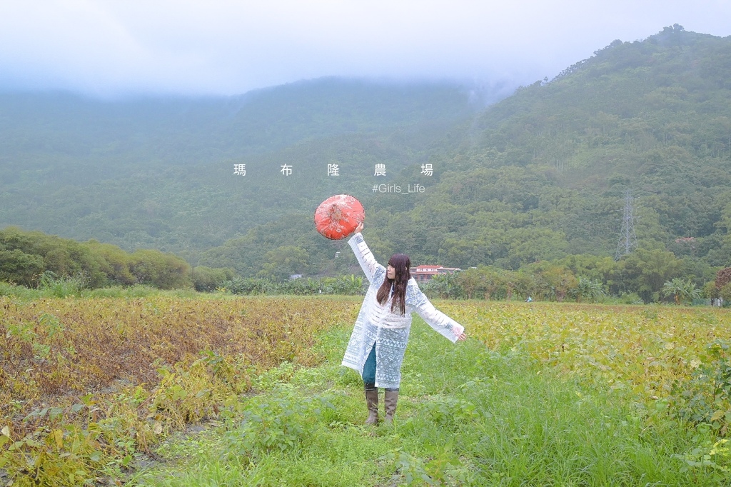 花蓮,瑪布隆農場,黑豆茶DIY,在地特色,農事體驗,2020國產雜糧十大經典體驗路線,阿美族,濕地,花蓮景點