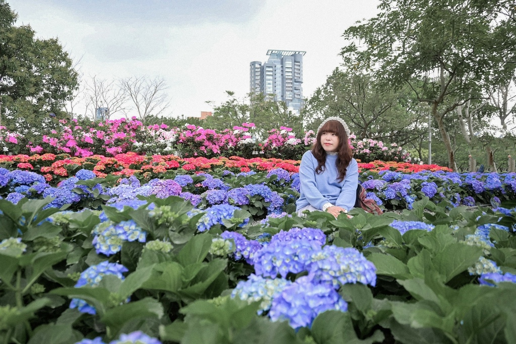 uri_mh1614405887284.jpg uri_mh1614405887284.jpg