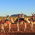 Uluru Camel Tour 141.jpg