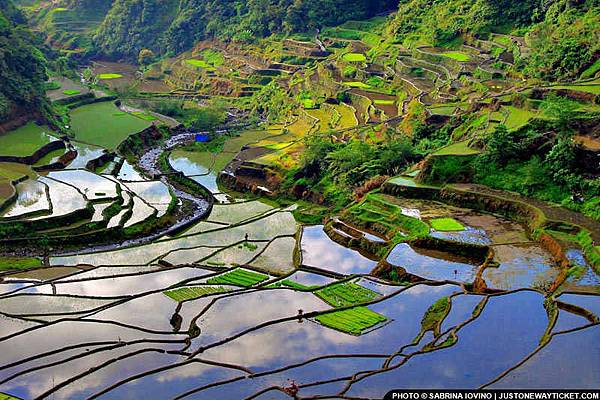 碧瑤東北邊的巴拿威梯田，在1995年登錄為世界文化遺產-The-Banaue-Rice-Terraces.jpg