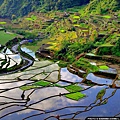 碧瑤東北邊的巴拿威梯田，在1995年登錄為世界文化遺產-The-Banaue-Rice-Terraces.jpg