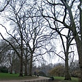 St. James Park