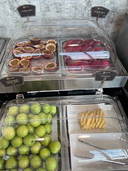 越南-胡志明機場 第二航廈 國際線貴賓室-Jasmine H 越南-胡志明機場 第二航廈 國際線貴賓室-Jasmine H